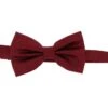 David Van Hagen Plain Satin Silk Bow Tie - Wine