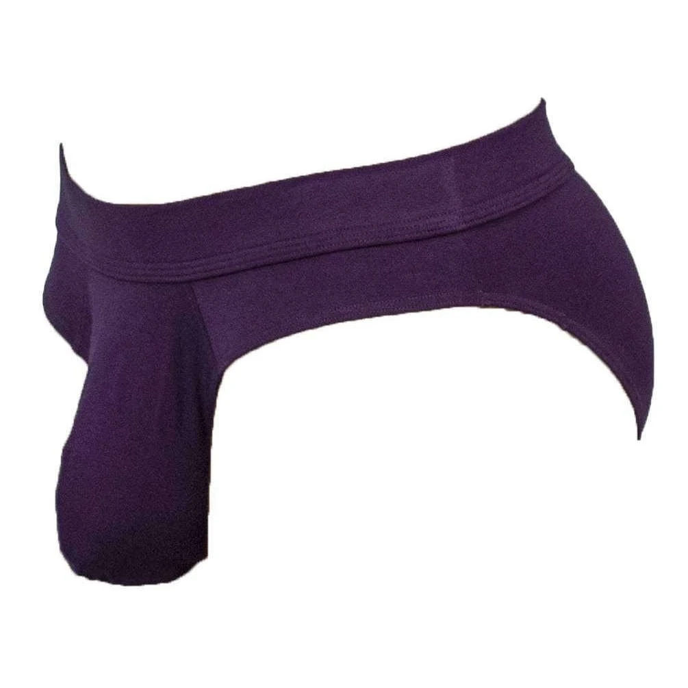 Obviously EliteMan Hipster Brief - Purple - Image 3