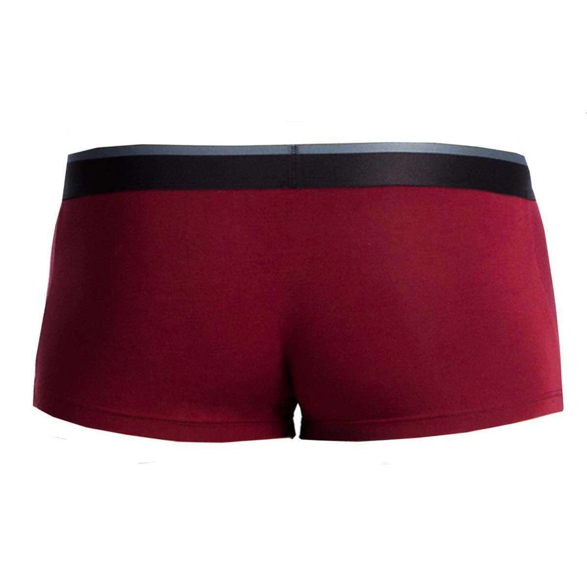 Obviously PrimeMan AnatoMAX Trunk - Maroon Red - Image 2